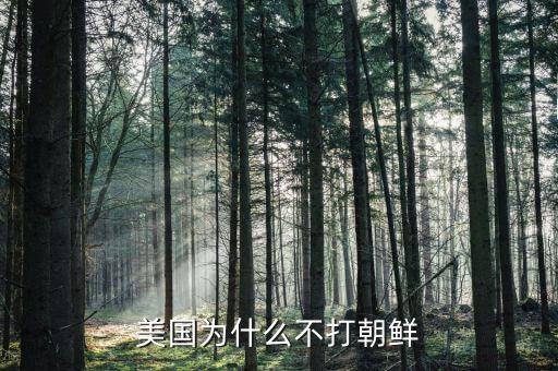 美國為什么不打朝鮮