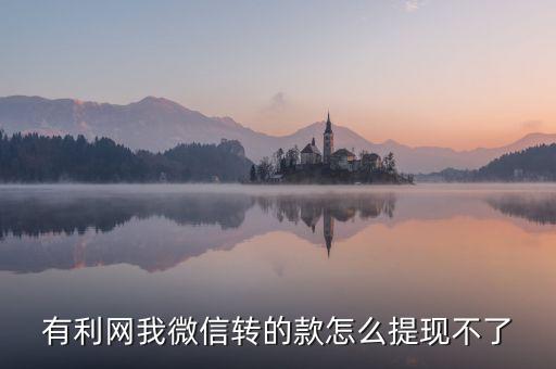有利網(wǎng)我微信轉(zhuǎn)的款怎么提現(xiàn)不了