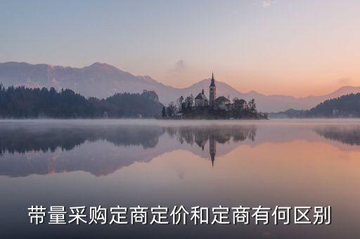 帶量采購定商定價(jià)和定商有何區(qū)別