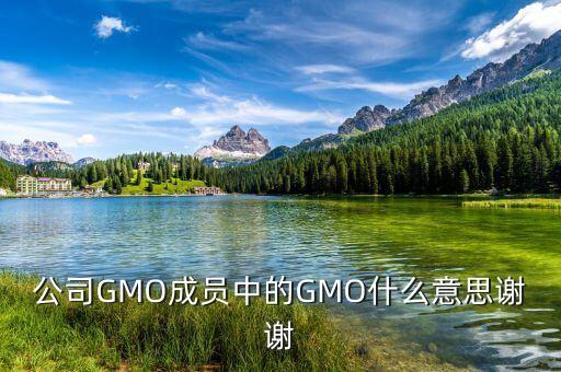 公司gmo什么意思，公司GMO成員中的GMO什么意思謝謝