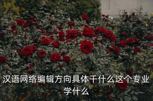 漢語網(wǎng)絡(luò)編輯方向具體干什么這個專業(yè)學(xué)什么
