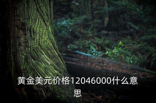 黃金美元價格12046000什么意思