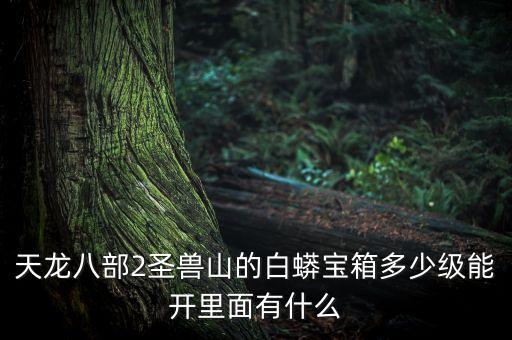 圣寶在合力泰任什么職務(wù)，夢幻聊齋的門派圣寶任務(wù)幫忙啊