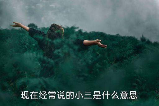 現(xiàn)在經(jīng)常說(shuō)的小三是什么意思
