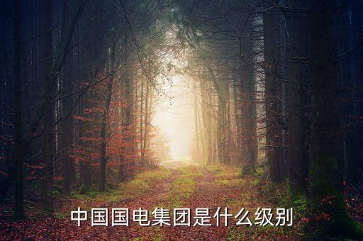 中國(guó)國(guó)電集團(tuán)是什么級(jí)別