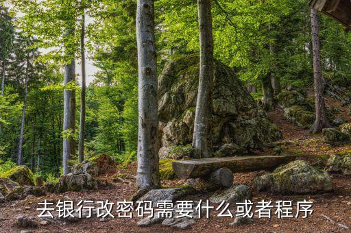 銀行卡改密碼需要什么，改銀行卡密碼要有哪些條件