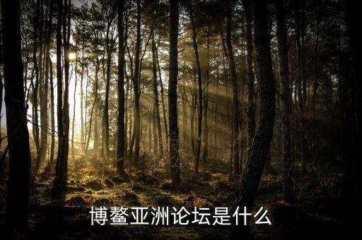 博鰲亞洲論壇是干什么的，博鰲亞洲論壇是什么