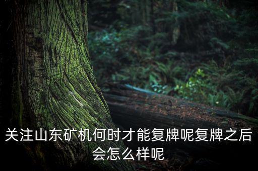 關(guān)注山東礦機(jī)何時(shí)才能復(fù)牌呢復(fù)牌之后會(huì)怎么樣呢