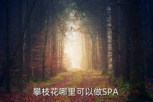 雅化集團攀枝花恒泰做什么的，攀枝花哪里可以做SPA