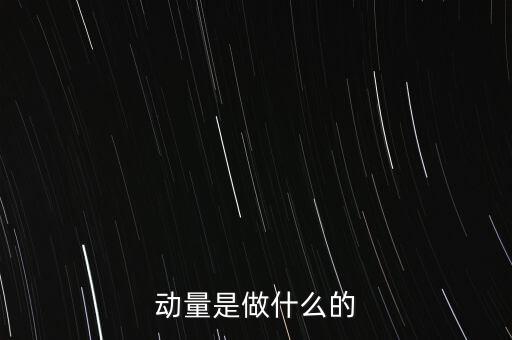 動量是做什么的