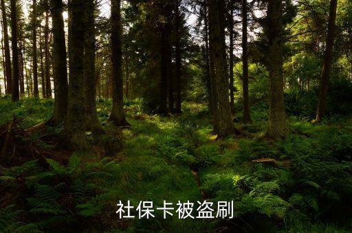 盜刷社?？ㄊ鞘裁醋?，小偷持盜竊所得的社保卡到藥店刷卡消費(fèi)藥店是否構(gòu)成銷贓罪  搜
