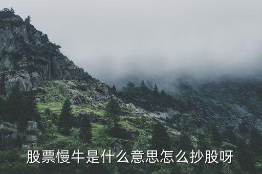 慢牛走勢(shì)是什么意思，股票慢牛是什么意思怎么抄股呀