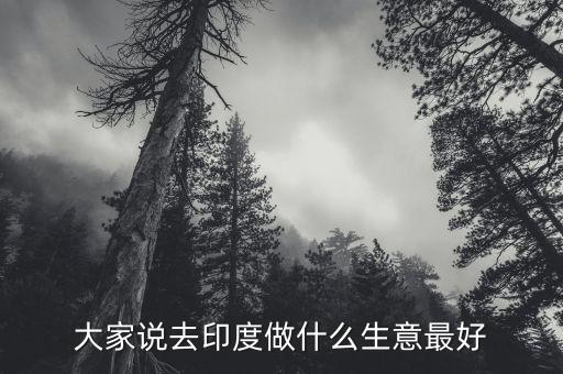 去印度做什么生意好，印度外貿(mào)做什么產(chǎn)品好