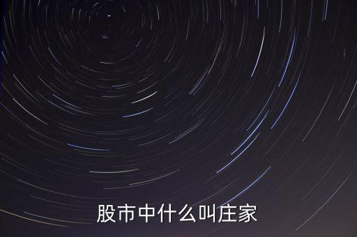 什么莊家股票，股票的莊家是指