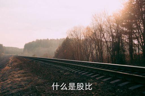 股比是什么意思，什么是股比