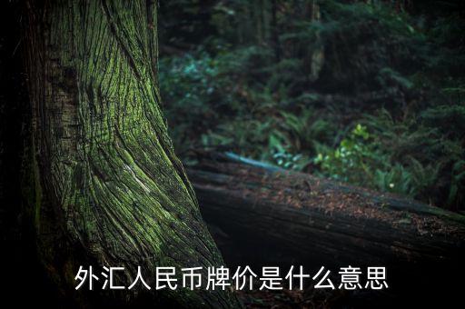 外幣兌換人民幣是什么，外幣兌換人民幣