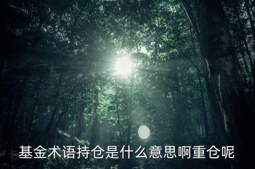 etf持倉是什么意思，基金術(shù)語持倉是什么意思啊重倉呢