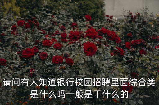 建設銀行綜合營銷類崗位是什么，建設銀行校園招聘崗位小語種專項人才 綜合營銷類崗位 業(yè)務支持類崗