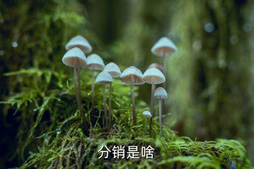 分銷權(quán)是什么，分銷是啥