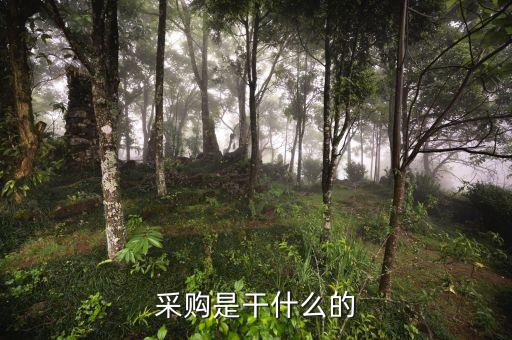 為什么要帶量采購，材料為什么要集團(tuán)化采購