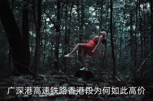 廣深港高速鐵路香港段為何如此高價