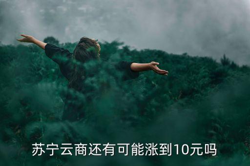 蘇寧云商還有可能漲到10元嗎