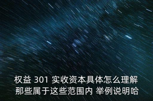權益 301 實收資本具體怎么理解 那些屬于這些范圍內(nèi) 舉例說明哈