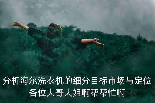 分析海爾洗衣機的細分目標市場與定位各位大哥大姐啊幫幫忙啊