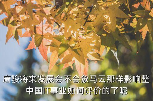 唐駿將來發(fā)展會不會象馬云那樣影響整中國IT事業(yè)如何評價(jià)的了呢