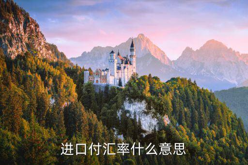 進(jìn)口付匯是什么意思，進(jìn)口付匯是什么