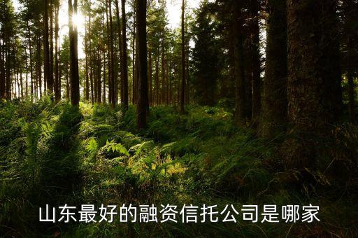 山東最好的融資信托公司是哪家