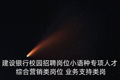 建設(shè)銀行校園招聘崗位小語種專項(xiàng)人才 綜合營銷類崗位 業(yè)務(wù)支持類崗