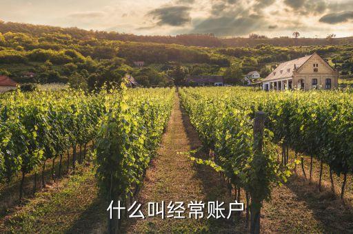 什么是經(jīng)常項目賬戶，經(jīng)常項目賬戶和資本項目賬戶