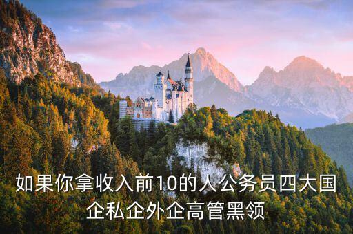 如果你拿收入前10的人公務(wù)員四大國(guó)企私企外企高管黑領(lǐng)