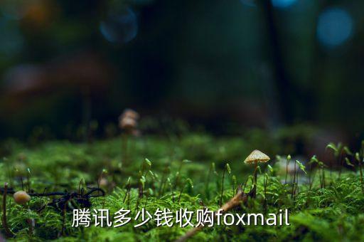 騰訊多少錢收購foxmail