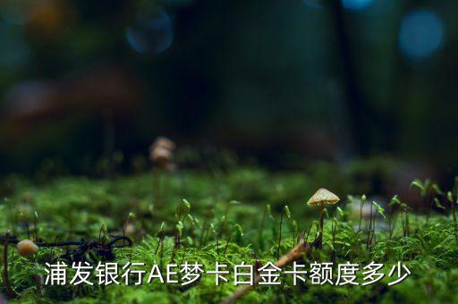 浦發(fā)銀行AE夢(mèng)卡白金卡額度多少