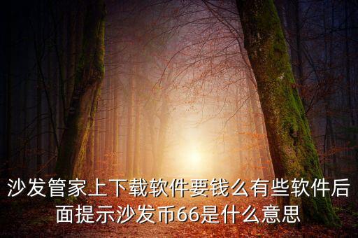 沙發(fā)管家上下載軟件要錢么有些軟件后面提示沙發(fā)幣66是什么意思