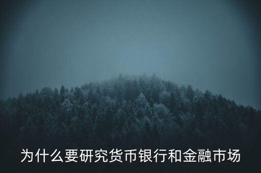為什么要研究貨幣銀行和金融市場(chǎng)