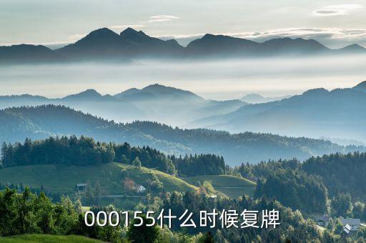 000155什么時候復牌