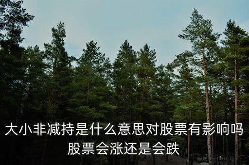 什么叫大小非，大小非減持是什么意思對股票有影響嗎股票會漲還是會跌