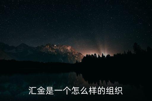 匯金是一個怎么樣的組織