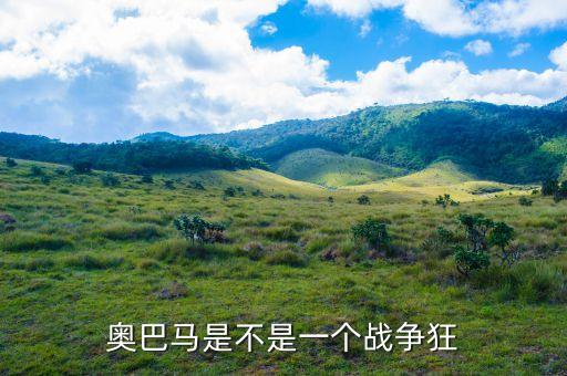 奧巴馬是不是一個戰(zhàn)爭狂