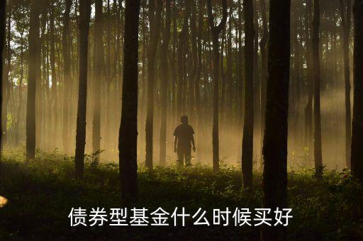 什么時(shí)候買債券基金好，債券基金什么時(shí)候買入最好
