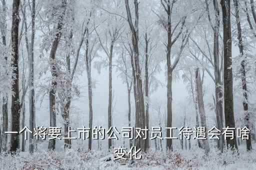 一個(gè)將要上市的公司對(duì)員工待遇會(huì)有啥變化