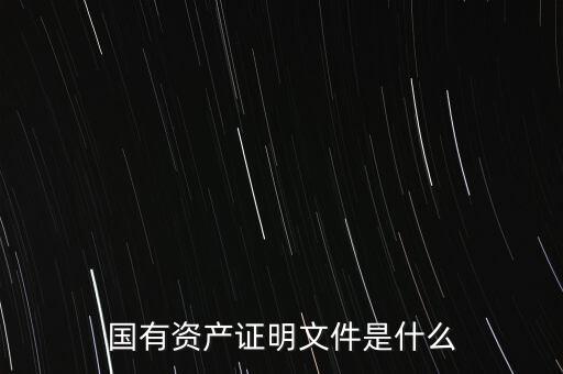國有資產(chǎn)證明文件是什么