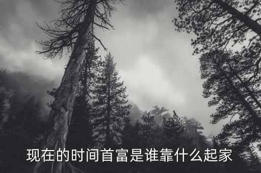 現(xiàn)在的時(shí)間首富是誰(shuí)靠什么起家