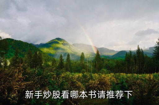 新手炒股看哪本書請推薦下