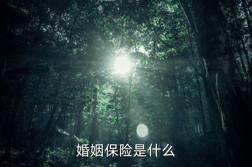 婚姻保險是什么