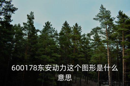 600178東安動(dòng)力這個(gè)圖形是什么意思