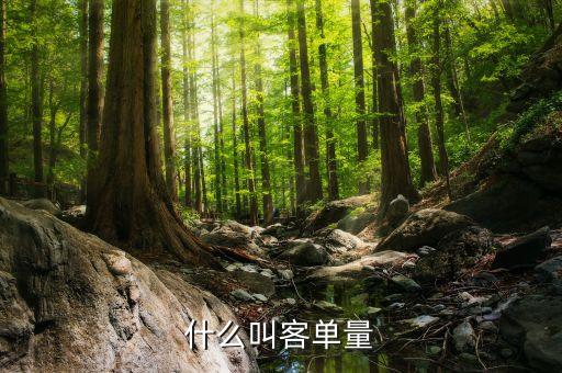 客戶規(guī)模包括什么，用戶規(guī)模什么意思與用戶數(shù)量有什么區(qū)別